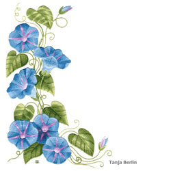 Morning Glories Needle Painting