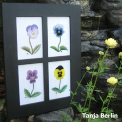 pansies-tanja-berlin1
