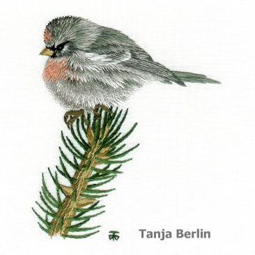 Needle Painting Bird Kits