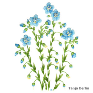 Needle Painting Blue Flax Kit