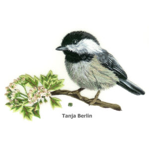 Needle Painting Chickadee on Blossom Branch Kit
