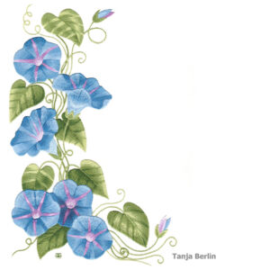 Needle Painting Morning Glories Kit and PDF File with Colour Work-in-Progress Pictures