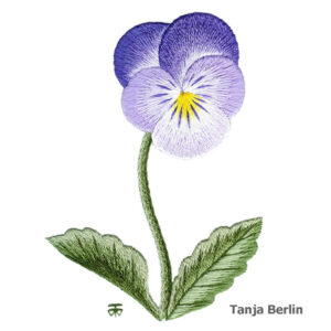 Needle Painting Clear Purple Pansy Kit and PDF File with Colour Work-in-Progress Pictures