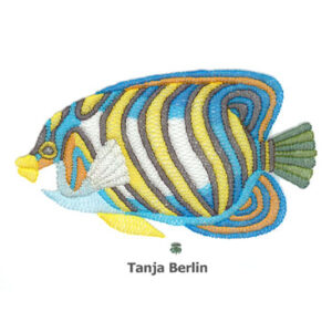 Shadow Work Angel Fish Kit