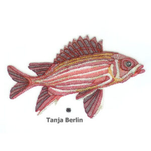 Shadow Work Squirrel Fish Kit