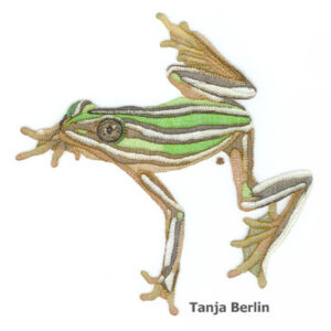 Shadow Work Tree Frog Kit