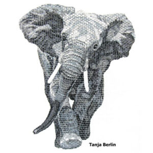 Blackwork Elephant Kit