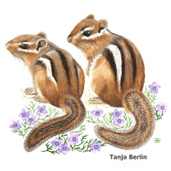 Chipmunks Needle Painting