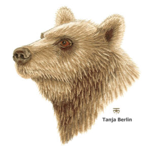 Needle Painting Grizzly Bear Kit and PDF File with Colour Work-in-Progress Pictures