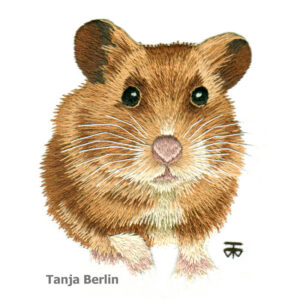 Needle Painting Jimmy The Hamster Kit and 4 PDF Files with Colour Work-in-Progress Pictures