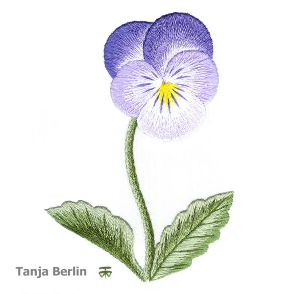 Clear Purple Pansy