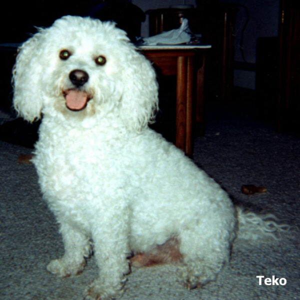 teko-photo-tanja-berlin